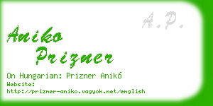 aniko prizner business card